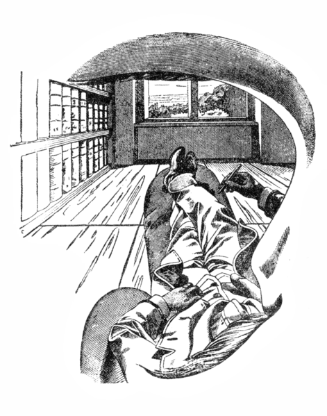  "Perspectiva de dentro", de Ernst Mach, em sua Análise das sensações (1886).